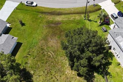 Land in Kissimmee, Florida № 1849776 - photo 1