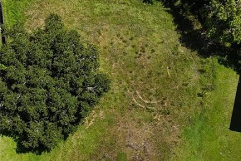 Land in Kissimmee, Florida № 1849776 - photo 2