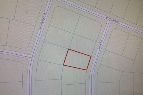 Land in Ocala, Florida № 1545956 - photo 4