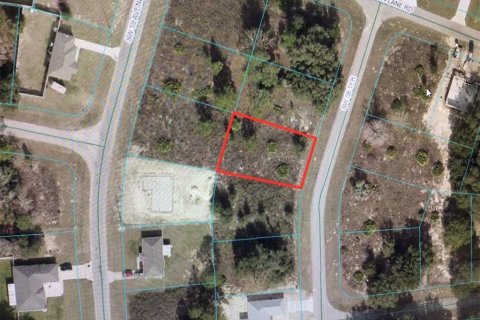 Land in Ocala, Florida № 1545956 - photo 2