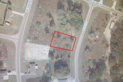 Land in Ocala, Florida № 1545956 - photo 3
