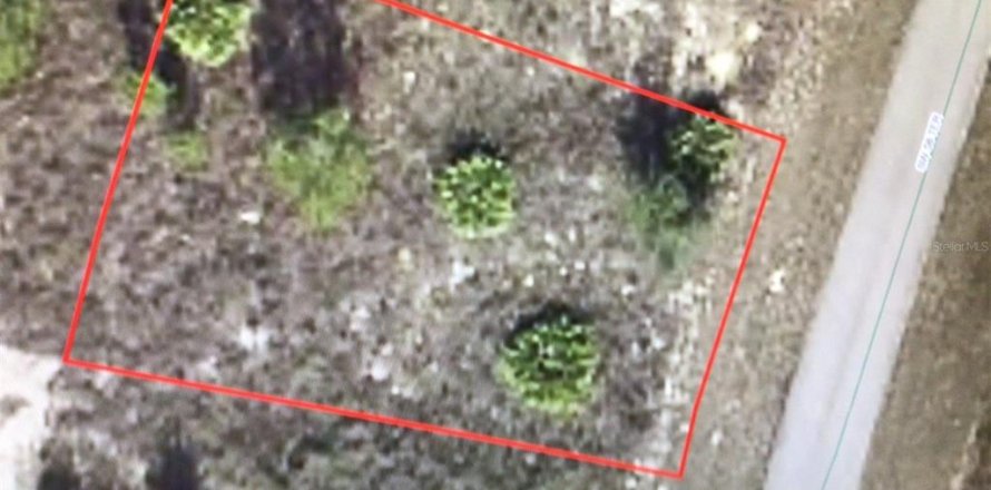 Land in Ocala, Florida № 1545956