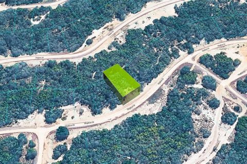 Land in Lake Placid, Florida № 2304531