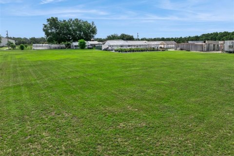 Immobilier commercial à vendre à Summerfield, Floride: 438.59 m2 № 2259246 - photo 30