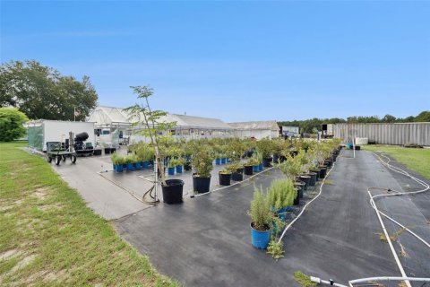 Immobilier commercial à vendre à Summerfield, Floride: 438.59 m2 № 2259246 - photo 20