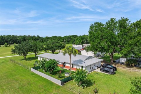 Commercial property in Summerfield, Florida 438.59 sq.m. № 2259246