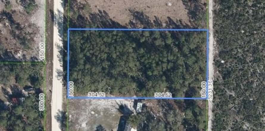 Terrain à Venus, Floride № 2388714