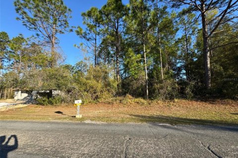 Land in Citrus Springs, Florida № 2165084