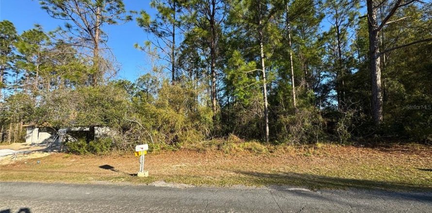 Land in Citrus Springs, Florida № 2165084