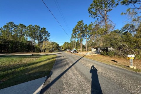 Land in Citrus Springs, Florida № 2165084 - photo 2