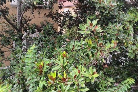 Townhouse in Lake Mary, Florida 4 bedrooms, 188.41 sq.m. № 1912038 - photo 23