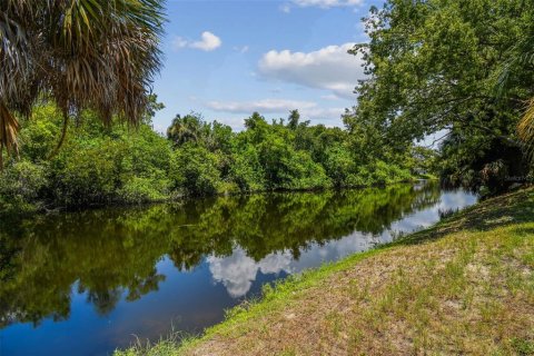 Copropriété à louer à New Port Richey, Floride: 2 chambres, 77.2 m2 № 1866871 - photo 5