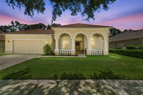 Casa en Valrico, Florida 4 dormitorios, 255.11 m2 № 2380740
