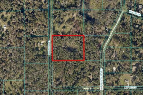 Land in Williston, Florida № 1843078 - photo 1