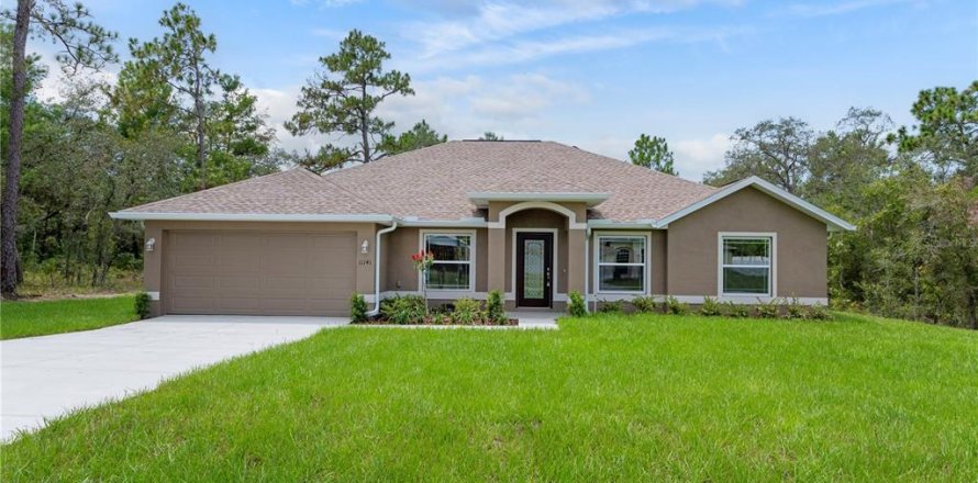Villa ou maison à Weeki Wachee, Floride 4 chambres, 196.95 m2 № 2324890