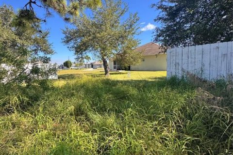 Land in Cape Coral, Florida № 2122187 - photo 4