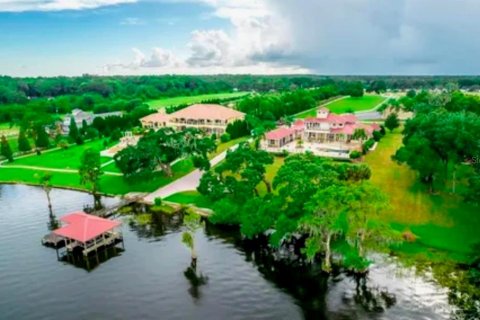 House in Thonotosassa, Florida 6 bedrooms, 979.28 sq.m. № 2102956 - photo 9