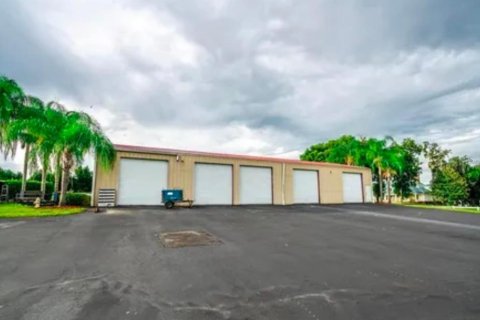 House in Thonotosassa, Florida 6 bedrooms, 979.28 sq.m. № 2102956 - photo 13