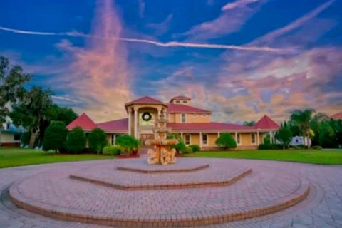 Villa ou maison à Thonotosassa, Floride 6 chambres, 979.28 m2 № 2102956