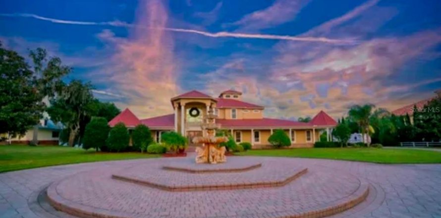 House in Thonotosassa, Florida 6 bedrooms, 979.28 sq.m. № 2102956