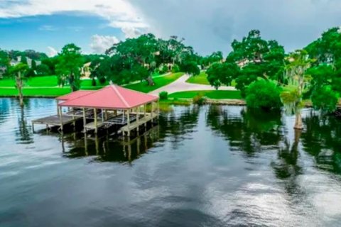 House in Thonotosassa, Florida 6 bedrooms, 979.28 sq.m. № 2102956 - photo 6
