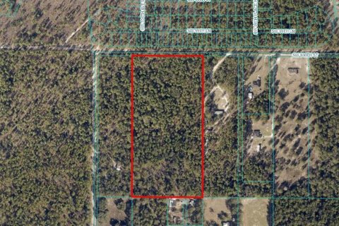 Land in Ocala, Florida № 1636508 - photo 3