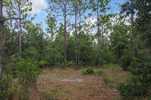 Land in Ocala, Florida № 1636508 - photo 4