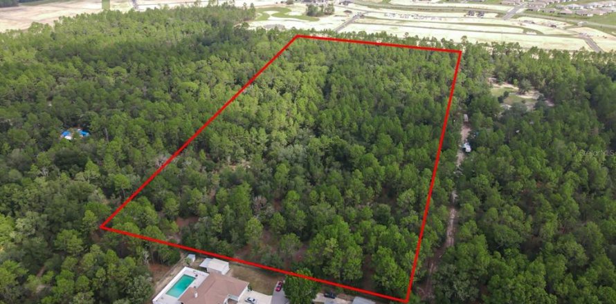 Land in Ocala, Florida № 1636508
