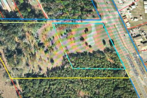 Land in Chiefland, Florida № 1561471 - photo 7