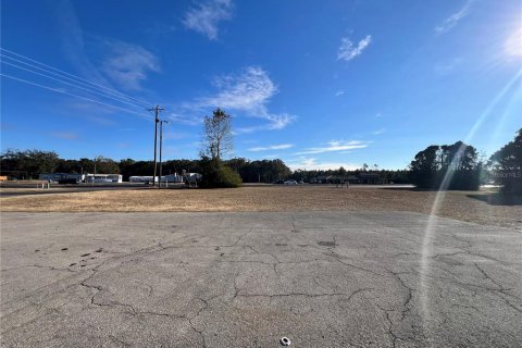 Land in Chiefland, Florida № 1561471 - photo 6