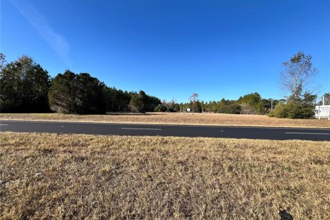 Land in Chiefland, Florida № 1561471 - photo 5