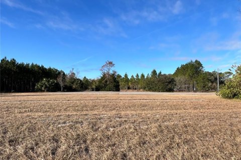 Land in Chiefland, Florida № 1561471 - photo 1