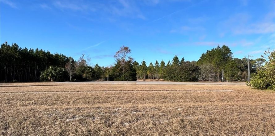 Land in Chiefland, Florida № 1561471