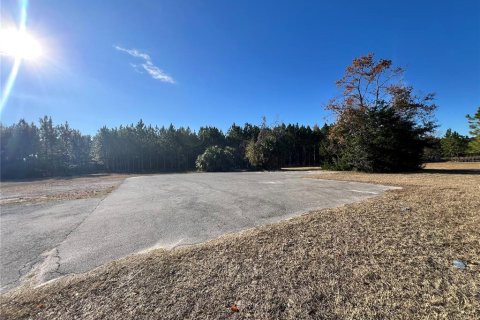 Land in Chiefland, Florida № 1561471 - photo 4