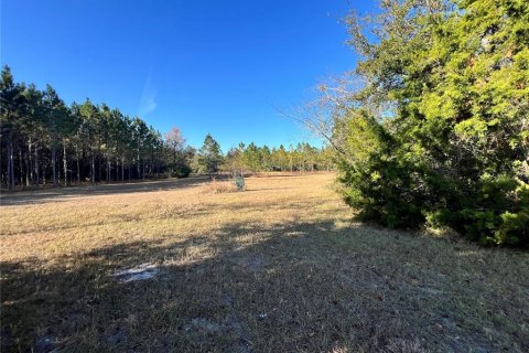 Land in Chiefland, Florida № 1561471 - photo 3