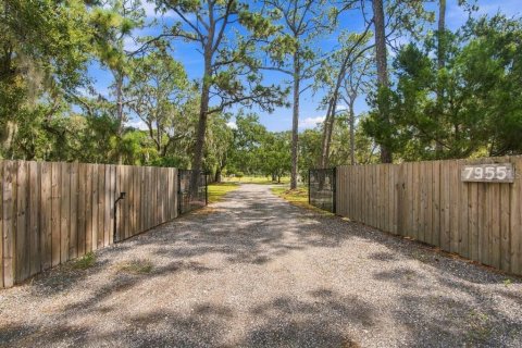 Casa en venta en Sarasota, Florida, 8 dormitorios, 573.95 m2 № 2425564 - foto 14