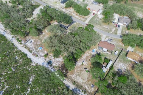 Terreno en venta en Lake Wales, Florida № 1609476 - foto 9