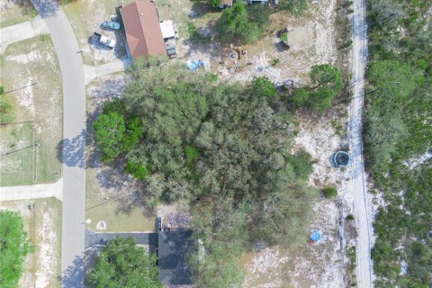Terreno en venta en Lake Wales, Florida № 1609476 - foto 5