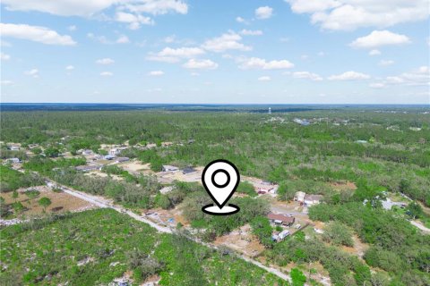 Terreno en venta en Lake Wales, Florida № 1609476 - foto 4