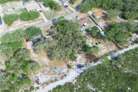 Terreno en venta en Lake Wales, Florida № 1609476 - foto 8