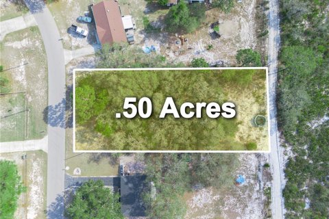 Terreno en venta en Lake Wales, Florida № 1609476 - foto 1