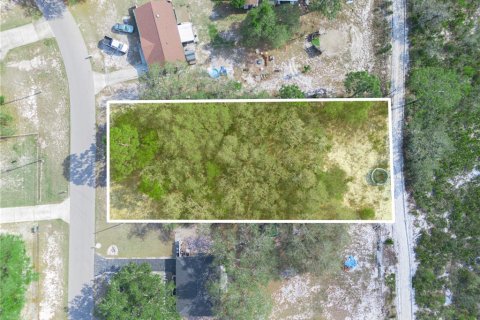Terreno en venta en Lake Wales, Florida № 1609476 - foto 2