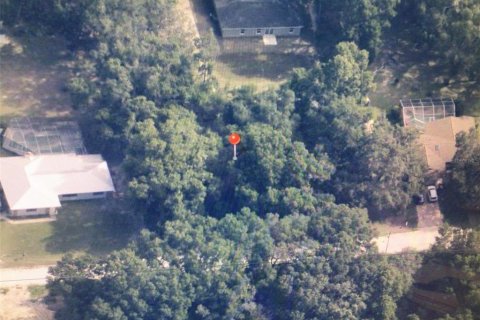 Land in Dunnellon, Florida № 2158914 - photo 5