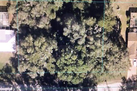 Land in Dunnellon, Florida № 2158914 - photo 2