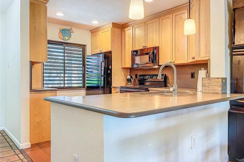 Condo in Tarpon Springs, Florida, 2 bedrooms  № 1856687 - photo 14