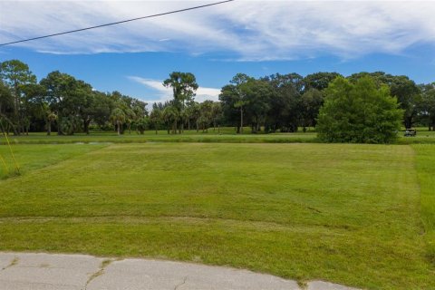 Land in Cape Coral, Florida № 1724547 - photo 7