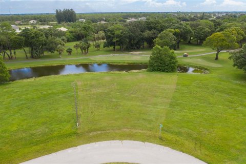 Land in Cape Coral, Florida № 1724547 - photo 9