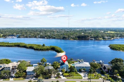 Villa ou maison à vendre à Tarpon Springs, Floride: 3 chambres, 229.19 m2 № 2399179 - photo 2