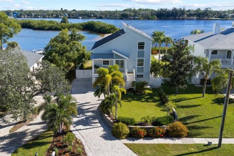 Villa ou maison à Tarpon Springs, Floride 3 chambres, 229.19 m2 № 2399179
