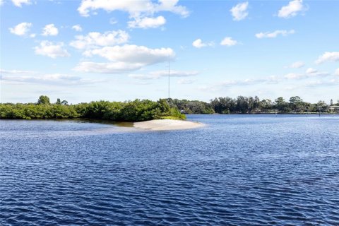 Villa ou maison à vendre à Tarpon Springs, Floride: 3 chambres, 229.19 m2 № 2399179 - photo 9